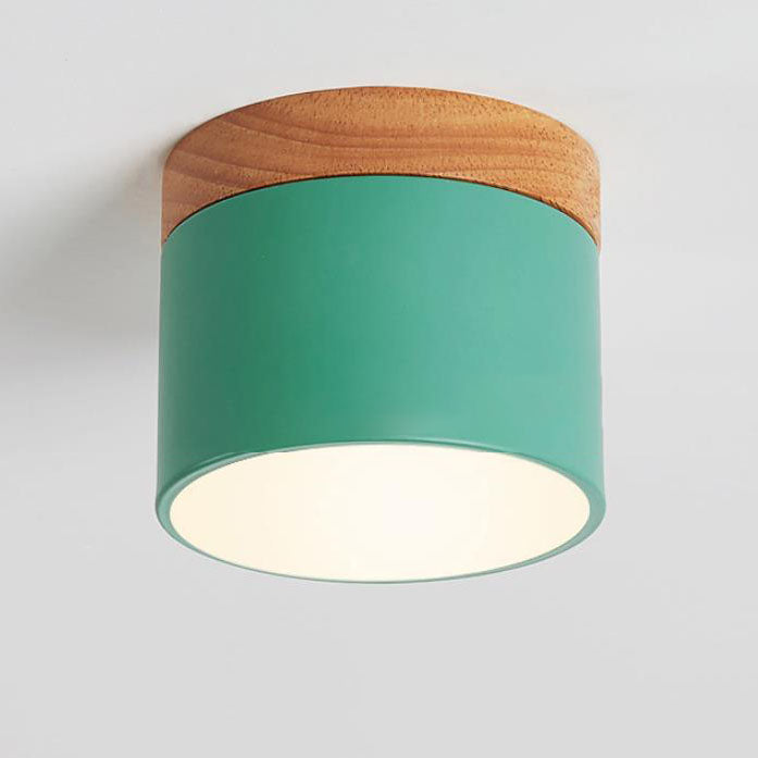 Modern LED Ceiling Lamp Adjustable Color