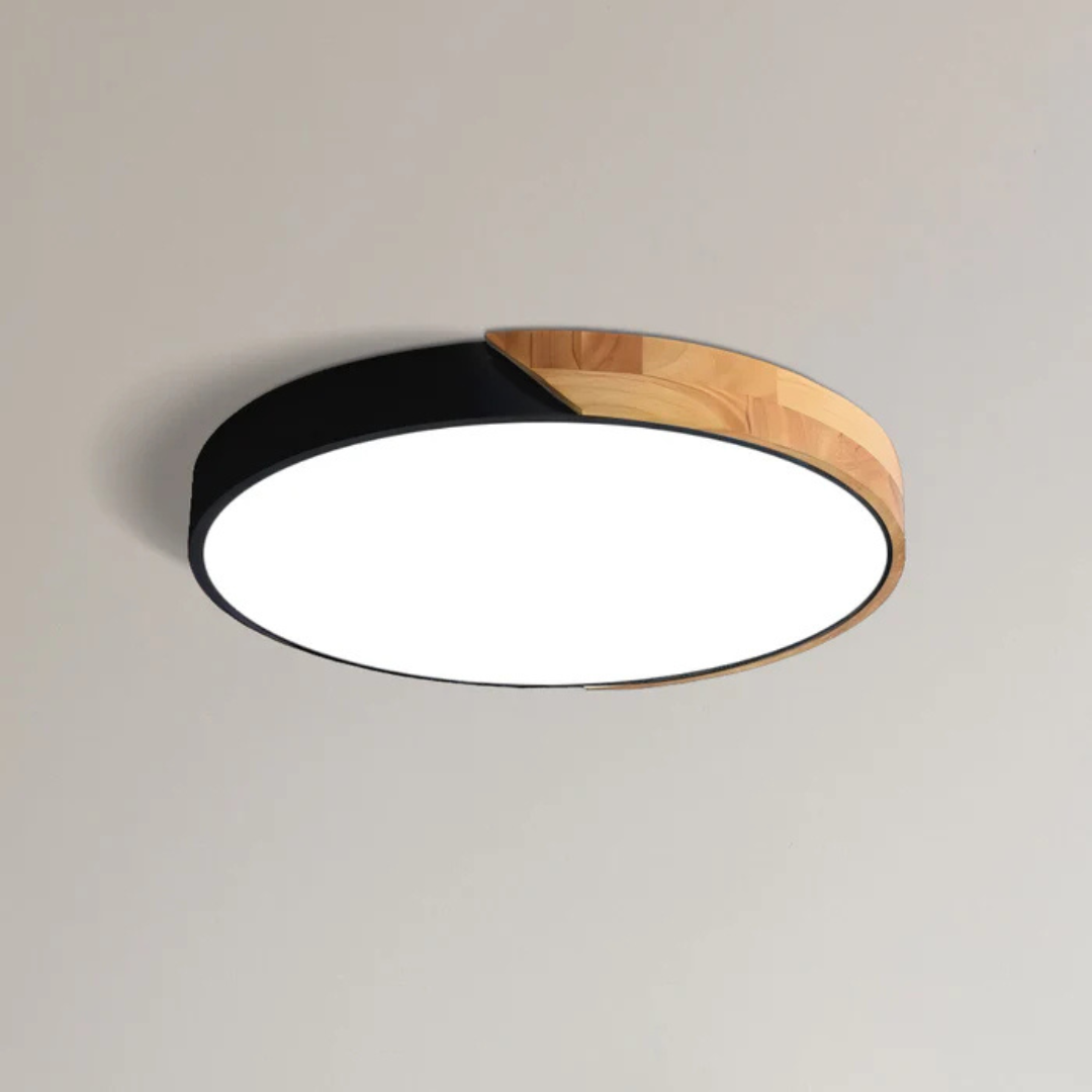 Eco Friendly Modern LED Ceiling Light