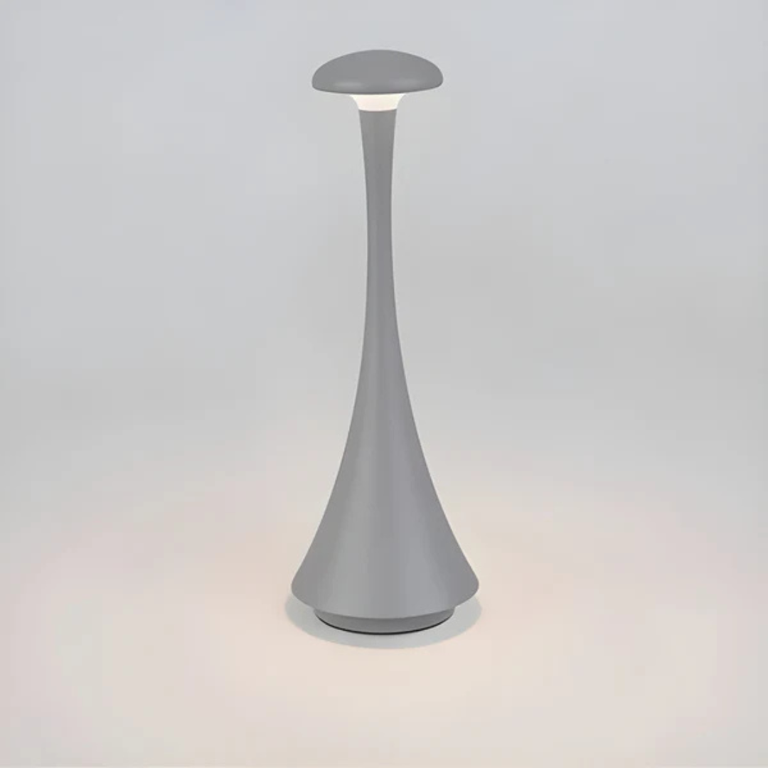 Energy Saving Desk Light Lamp
