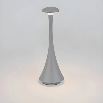Energy Saving Desk Light Lamp