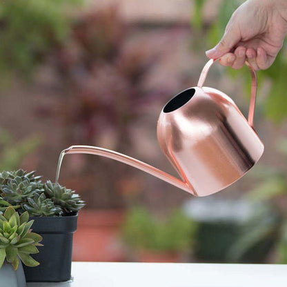 Durable Stainless Steel Watering Can with Long Spout