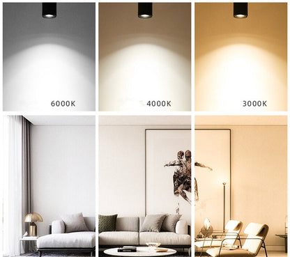 Bright LED Ceiling Spotlight