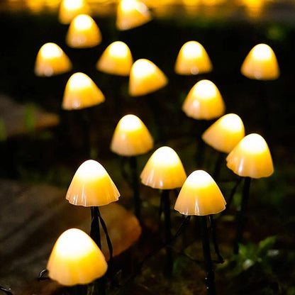 Colorful Solar Powered Fairy String Lights