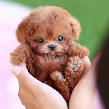 Fun Animated Plush Dog Toy for Kids and Adults - Cofik