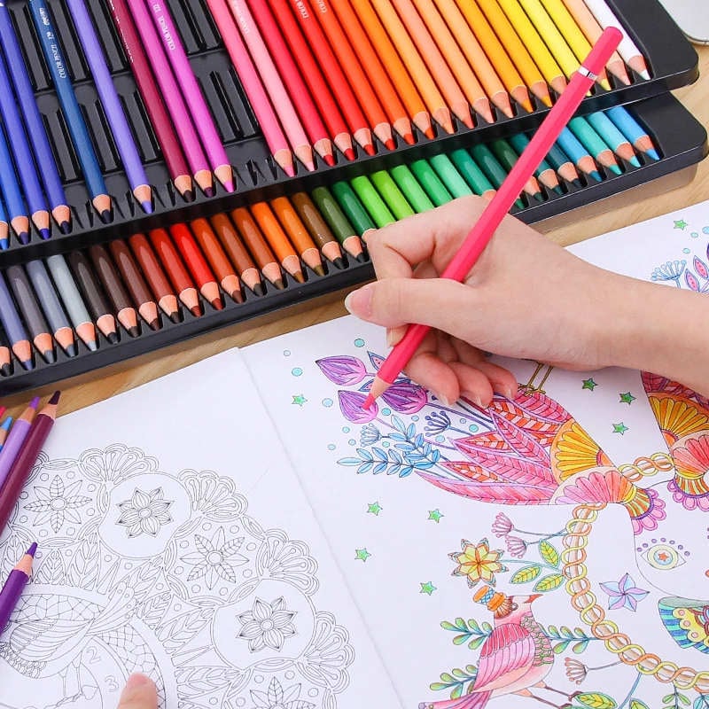 Colorful Non-Toxic Colored Pencils