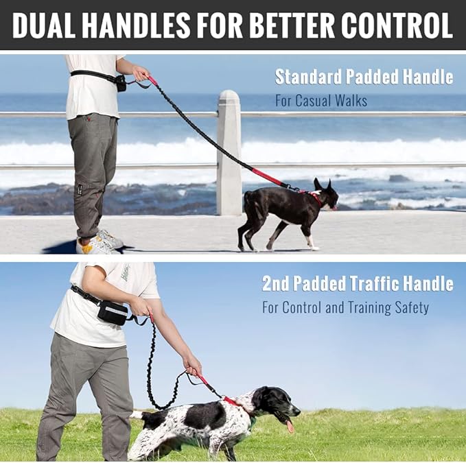 Easy Walk Hands-Free Dog Leash