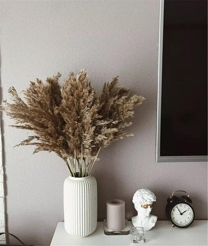 Natural Dried Pampas Grass Boho Decor Bouquet