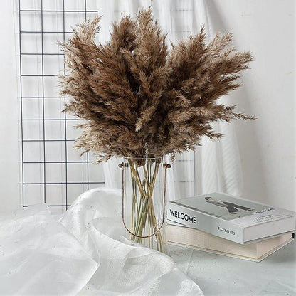 Natural Dried Pampas Grass Boho Decor Bouquet - Cofik