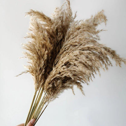 Natural Dried Pampas Grass Boho Decor Bouquet