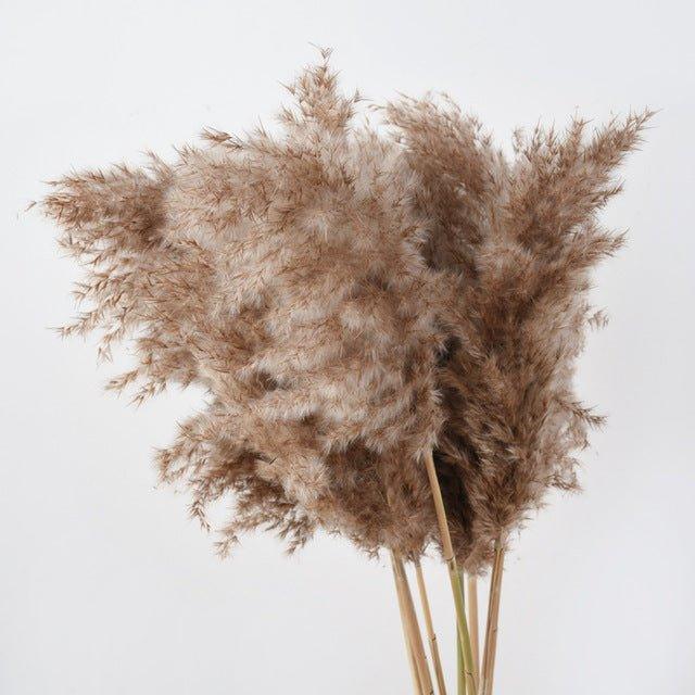 Natural Dried Pampas Grass Boho Decor Bouquet