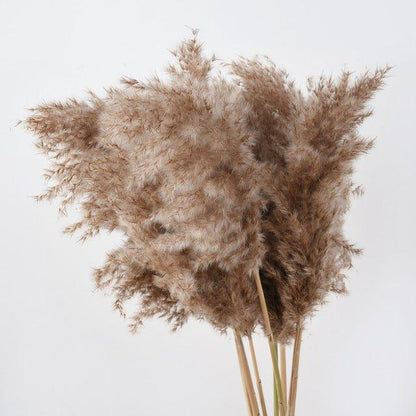 Natural Dried Pampas Grass Boho Decor Bouquet