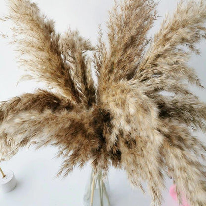 Natural Dried Pampas Grass Boho Decor Bouquet