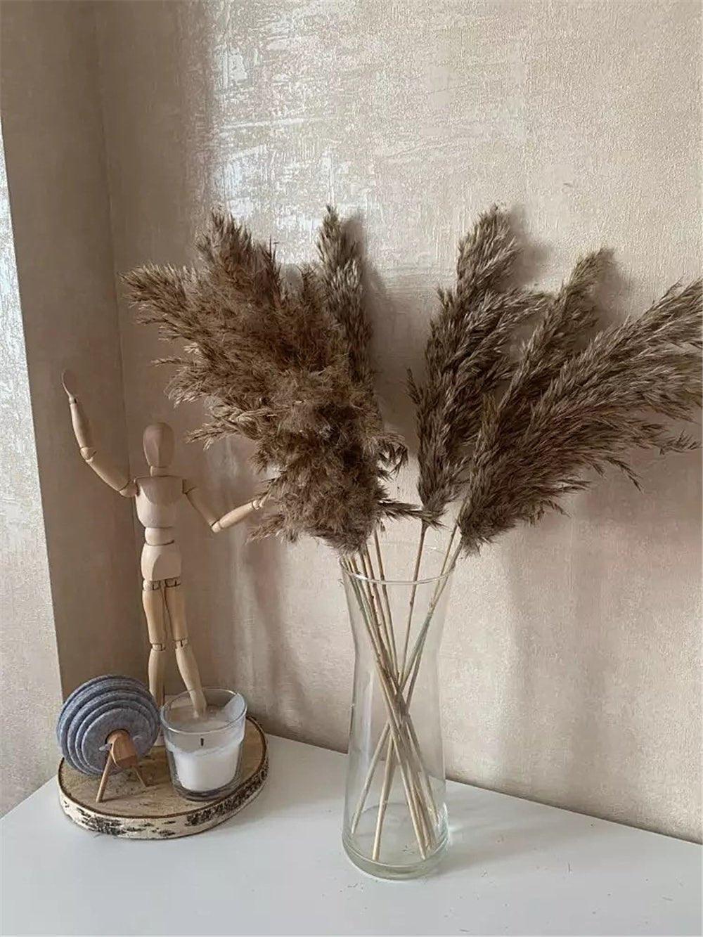 Natural Dried Pampas Grass Boho Decor Bouquet