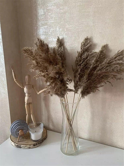 Natural Dried Pampas Grass Boho Decor Bouquet