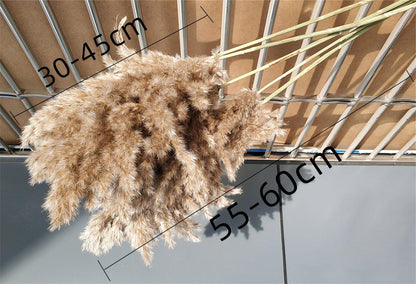 Natural Dried Pampas Grass Boho Decor Bouquet