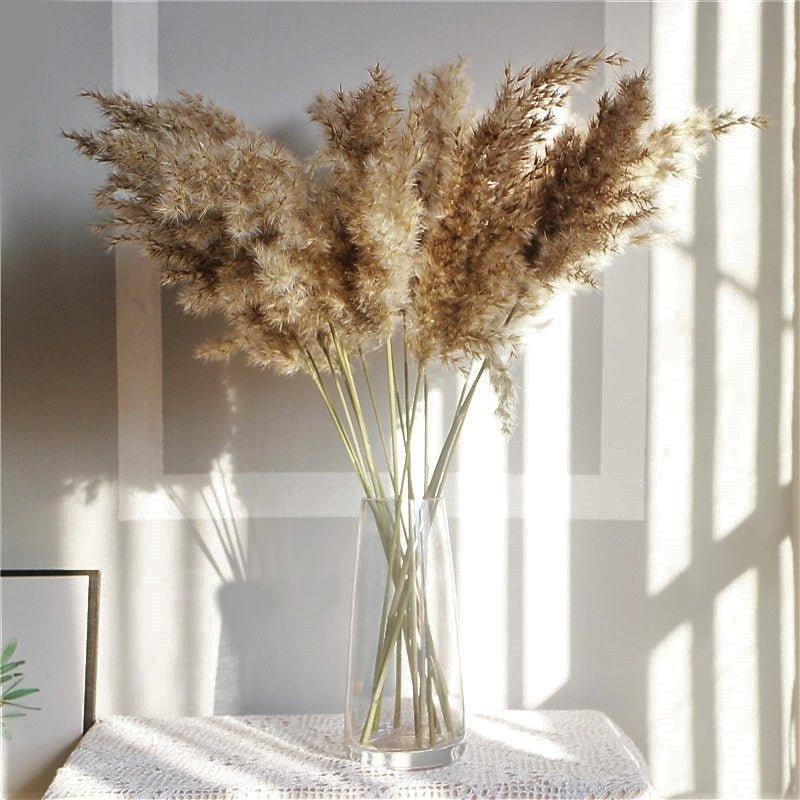 Natural Dried Pampas Grass Boho Decor Bouquet