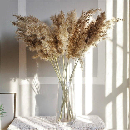 Natural Dried Pampas Grass Boho Decor Bouquet