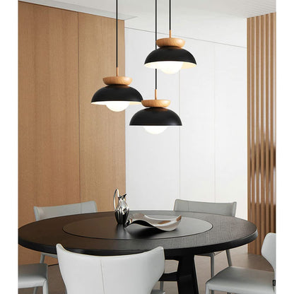 Stylish Metal Hanging Pendant Light
