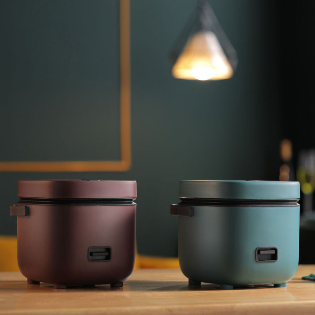 Small Electric Rice Cooker with Steamer and Easy Control
