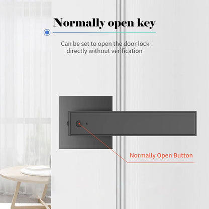 Digital Fingerprint Door Lock with Key and 30 User Codes