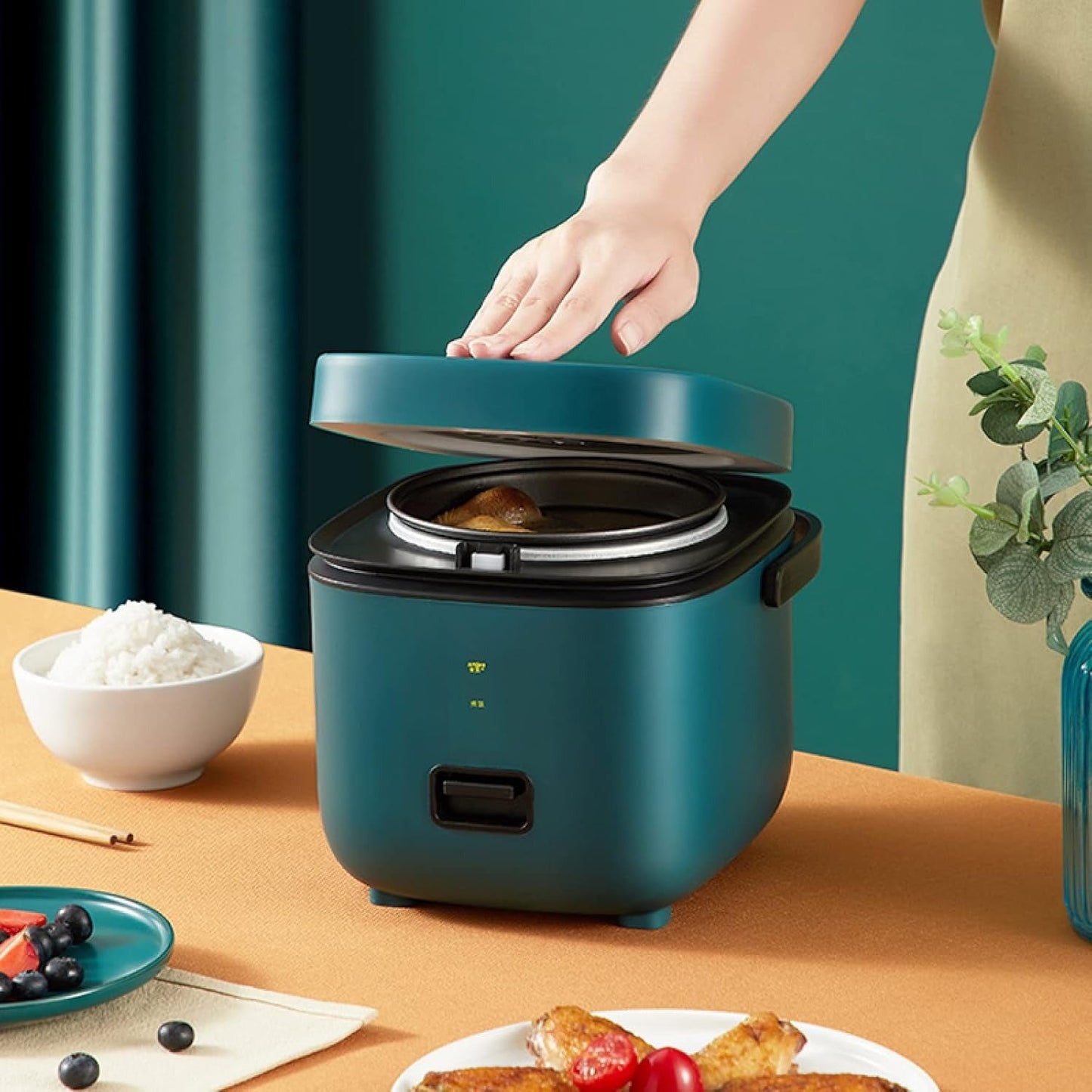 Small Electric Rice Cooker with Steamer and Easy Control