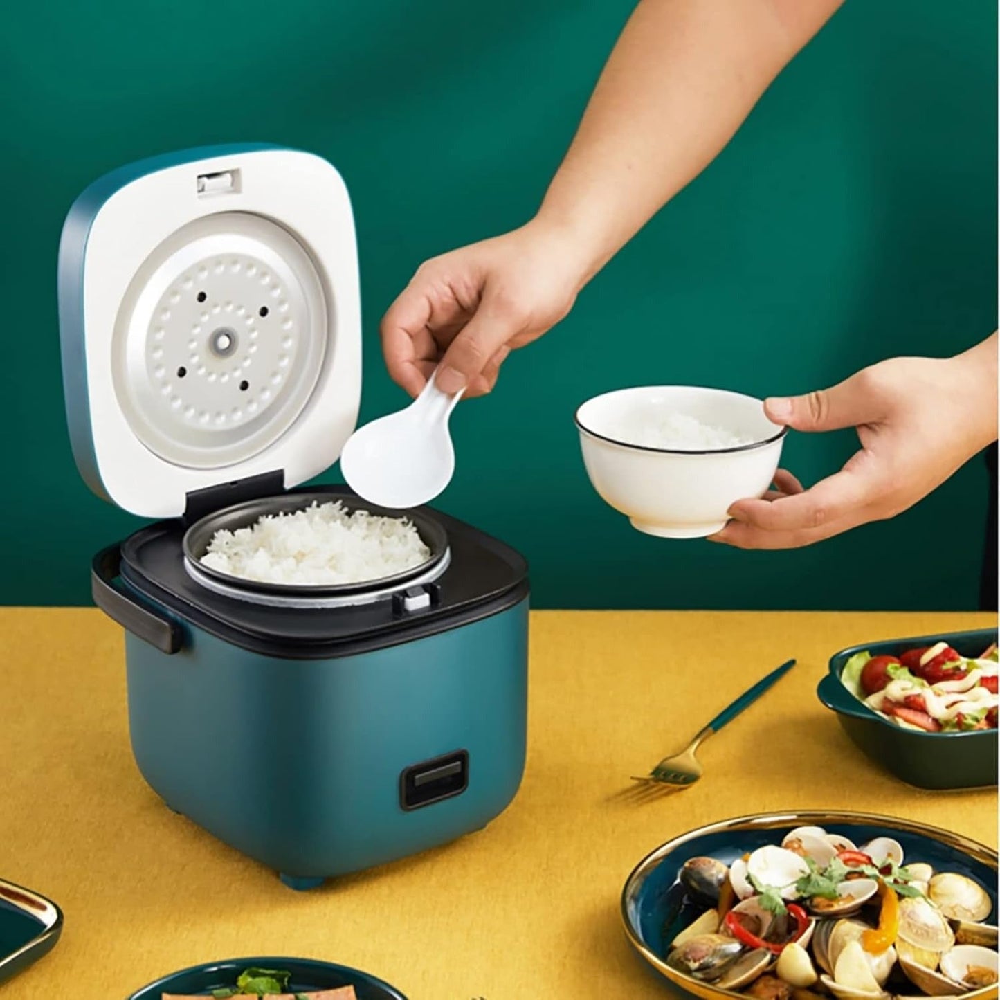 Small Electric Rice Cooker with Steamer and Easy Control