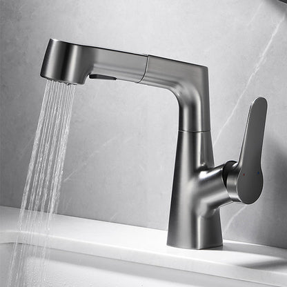 Modern Extendable Kitchen Sink Faucet with Lever Handle