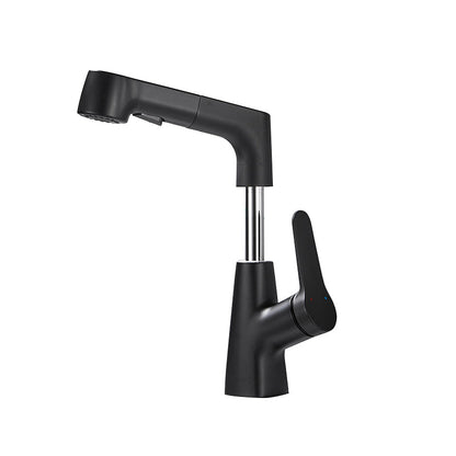 Modern Extendable Kitchen Sink Faucet with Lever Handle