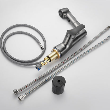 Modern Extendable Kitchen Sink Faucet with Lever Handle