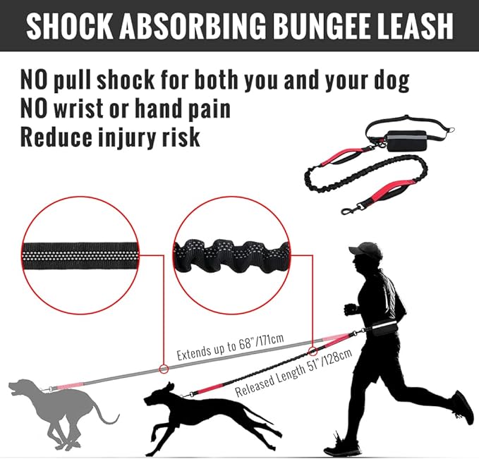 Easy Walk Hands-Free Dog Leash