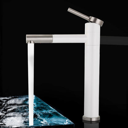 Contemporary Single Handle Stainless Steel Kitchen Faucet