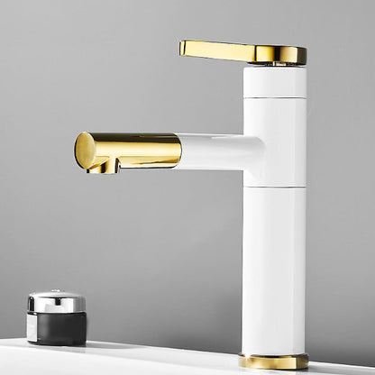 Modern Faucet with Lever Handle and Rotating Spout