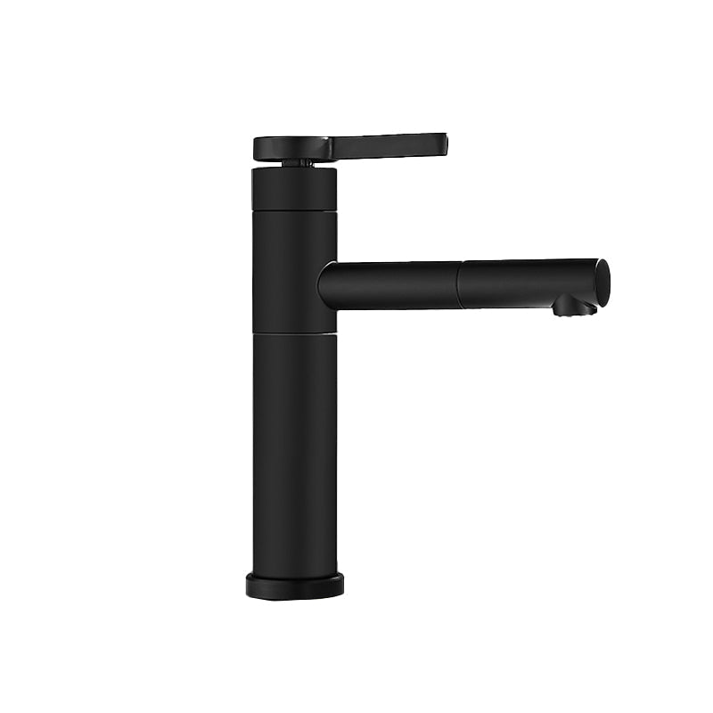 Modern Faucet with Lever Handle and Rotating Spout