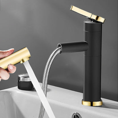 Modern Faucet with Lever Handle and Rotating Spout