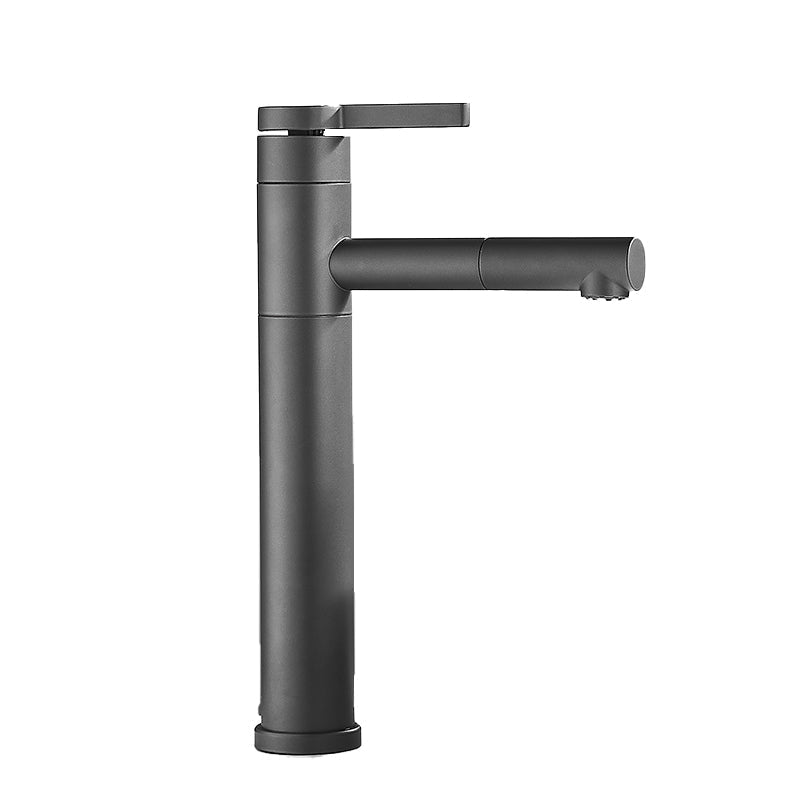 Modern Faucet with Lever Handle and Rotating Spout