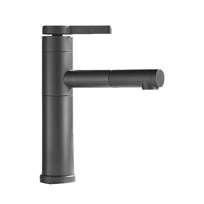 Modern Faucet with Lever Handle and Rotating Spout