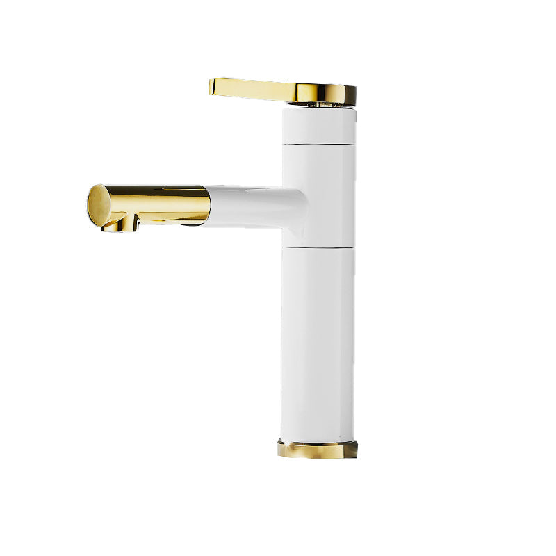 Modern Faucet with Lever Handle and Rotating Spout