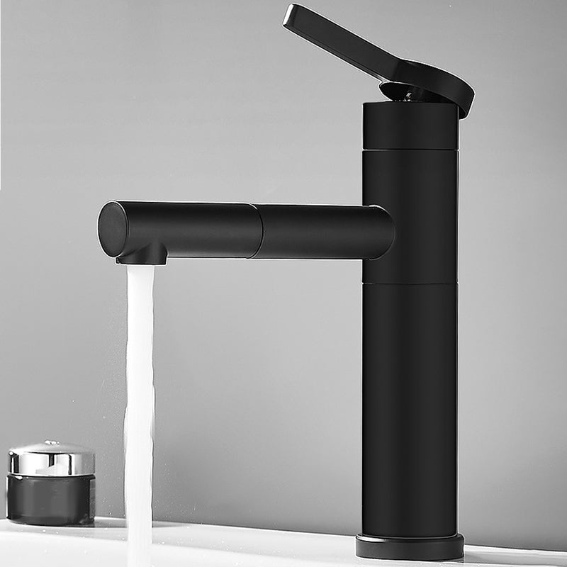 Modern Faucet with Lever Handle and Rotating Spout