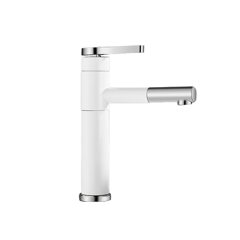 Modern Faucet with Lever Handle and Rotating Spout