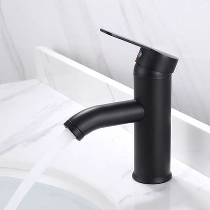 Contemporary Stainless Steel Bathroom Sink Faucet