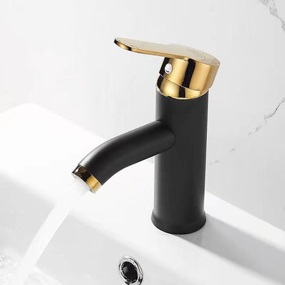 Contemporary Stainless Steel Bathroom Sink Faucet