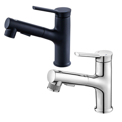 Modern Kitchen Sink Faucet with Pull-Out Spray nozzle