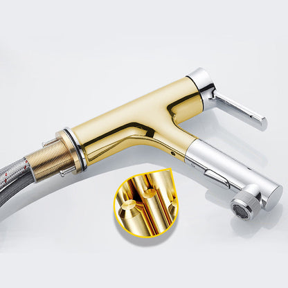 Modern Kitchen Sink Faucet with Pull-Out Spray nozzle