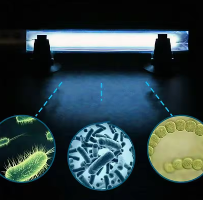 Compact Portable UV Sanitizer Light
