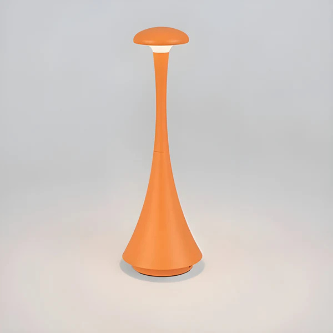 Energy Saving Desk Light Lamp