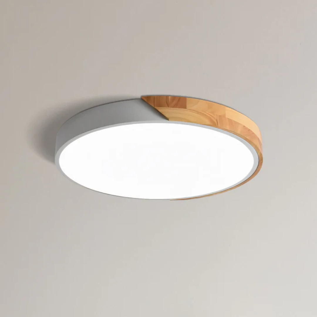 Eco Friendly Modern LED Ceiling Light