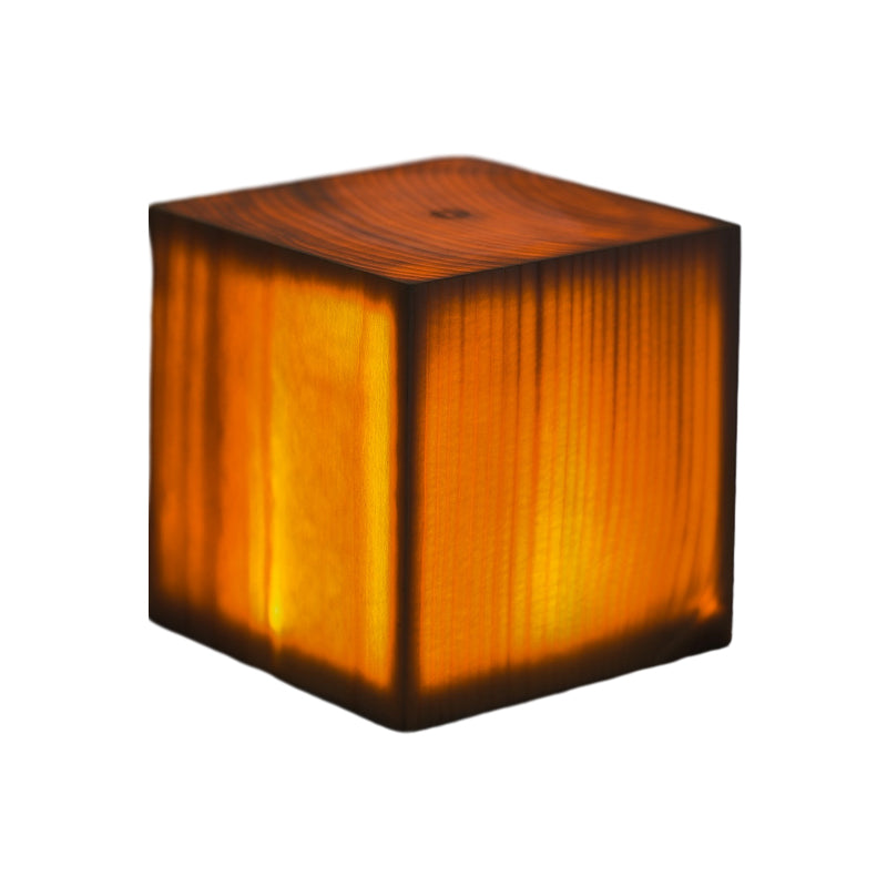 Portable LED Desk Lamp with USB Rechargeable Touch Control