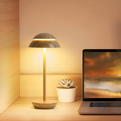 Compact Bright Desk Light