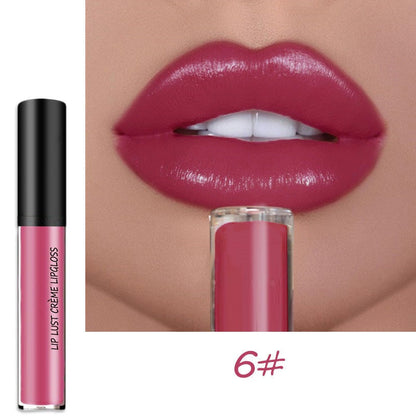 Moisturizing Long Lasting Lip Color