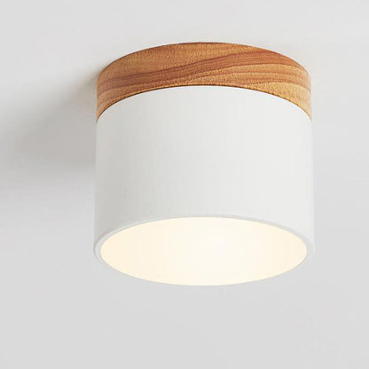Modern LED Ceiling Lamp Adjustable Color